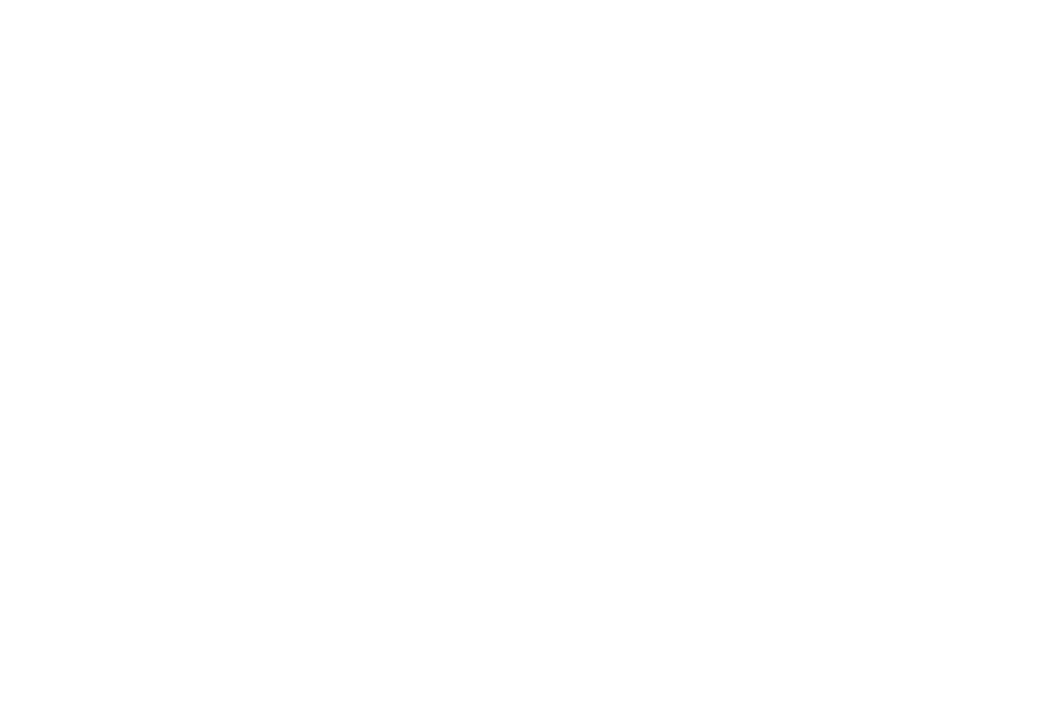 Mindful Planet